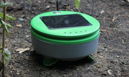 Weed Pulling Autonomous Robot for the Garden