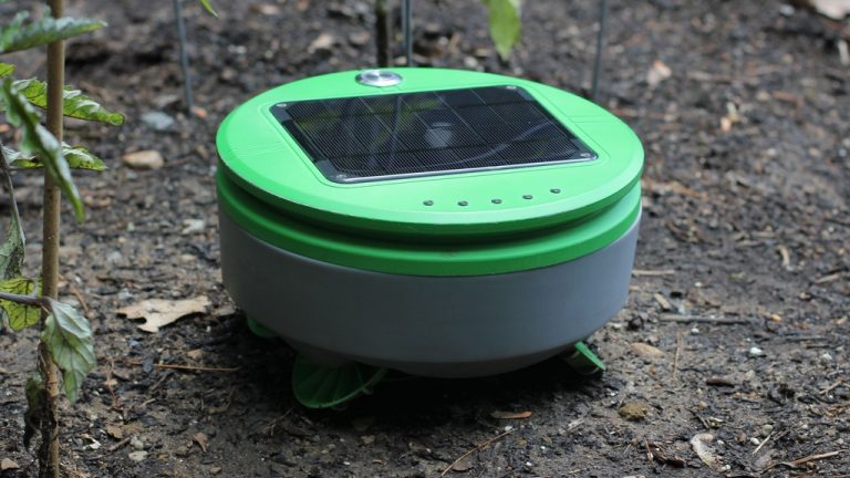 Weed Pulling Autonomous Robot for the Garden