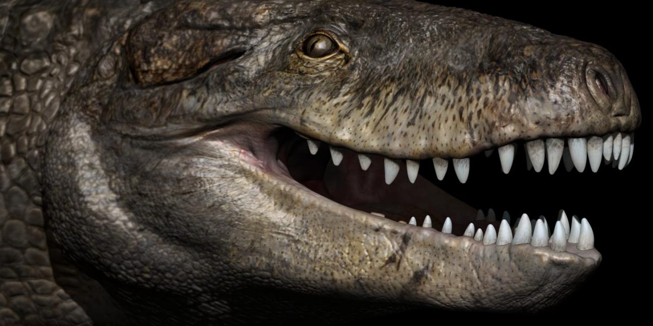 Prehistoric monster crocodile was apex land predator