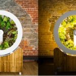 360 degree Space Saving Indoor Garden Growing Gadget
