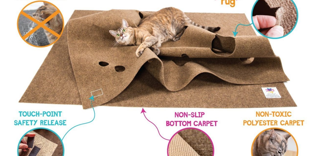 Check Out The Ripple Rug Cat Activity Mat (Video)
