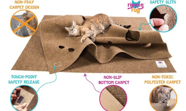 Check Out The Ripple Rug Cat Activity Mat (Video)