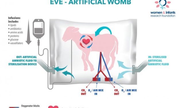 Artificial Womb Tested For Treating Critically Premature Babies in The Future