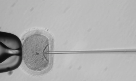 First Human Embryos Genetically Modified With CRISPR in U.S. Raises Concerns