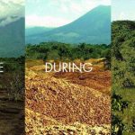 How Orange Peels Rejuvenated a Decimated Costa Rican Forest
