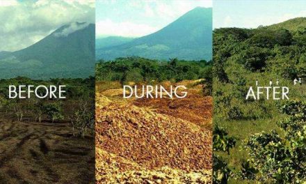 How Orange Peels Rejuvenated a Decimated Costa Rican Forest