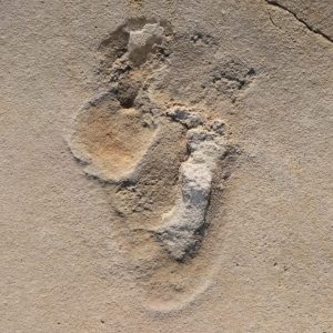 footprints from Trachilos